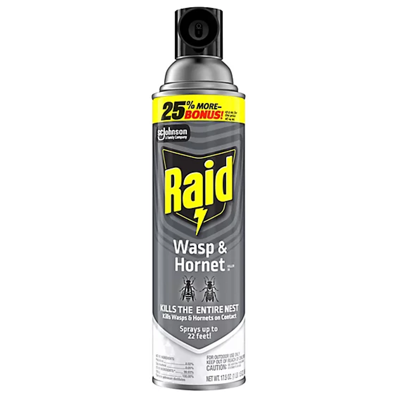 Raid Wasp & Hornet Spray view 1